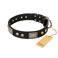 "Pirates Gold" FDT Artisan Black Leather Black Russian Terrier Collar with Old Silver Look Plates and Skulls
