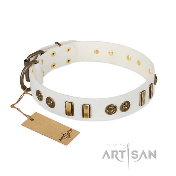 Corrosion proof embellishments on leather dog collar for your canine