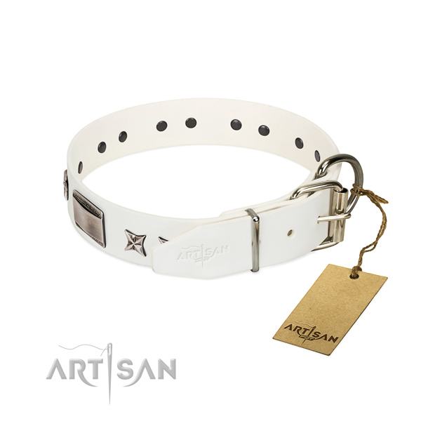 Best quality collar of leather for your impressive dog