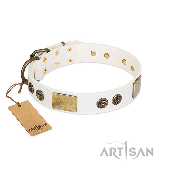Awesome genuine leather dog collar for walking