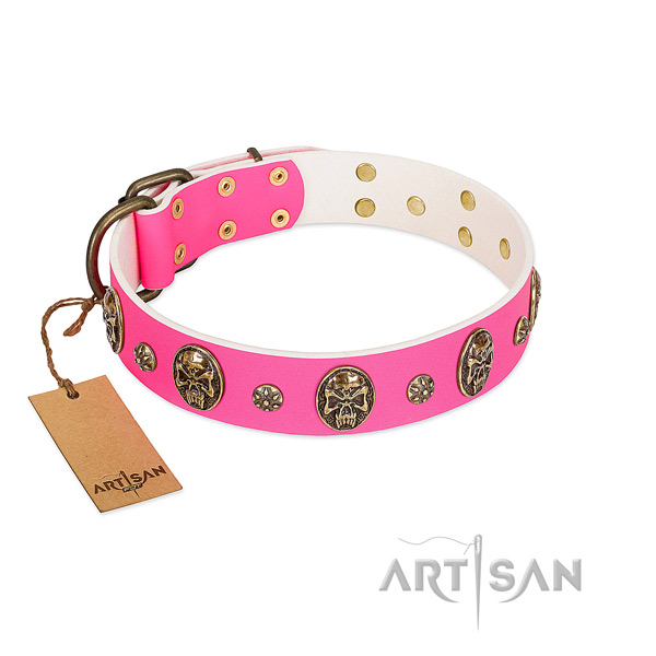 Studded natural leather dog collar for stylish walking