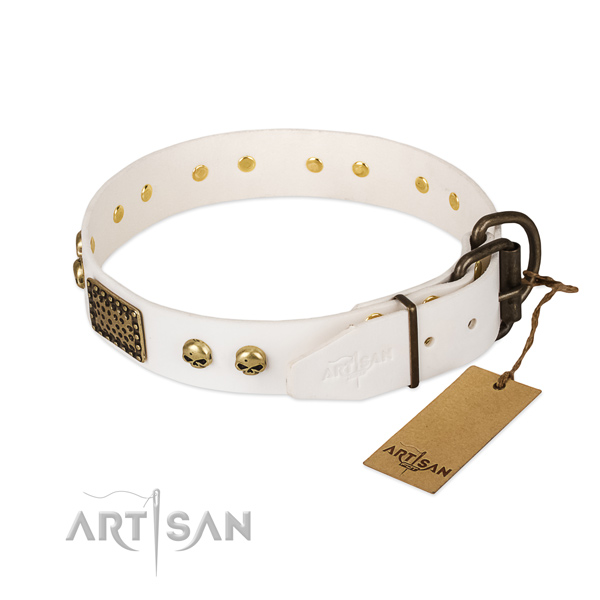 Adjustable full grain leather dog collar for walking your canine