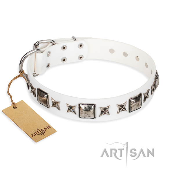 Daily walking dog collar of finest quality natural leather with studs