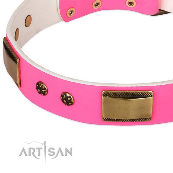 Reliable fittings on full grain leather dog collar for your pet