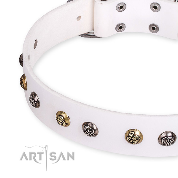 Natural leather dog collar with exceptional reliable decorations