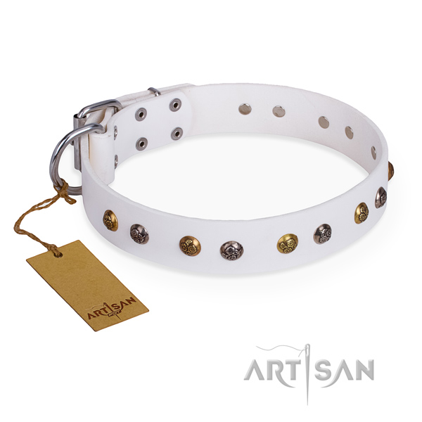 Daily use embellished dog collar with rust resistant traditional buckle