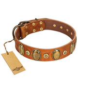 "Crystal Sand" FDT Artisan Tan Leather Black Russian Terrier Collar with Vintage Looking Oval and Round Studs