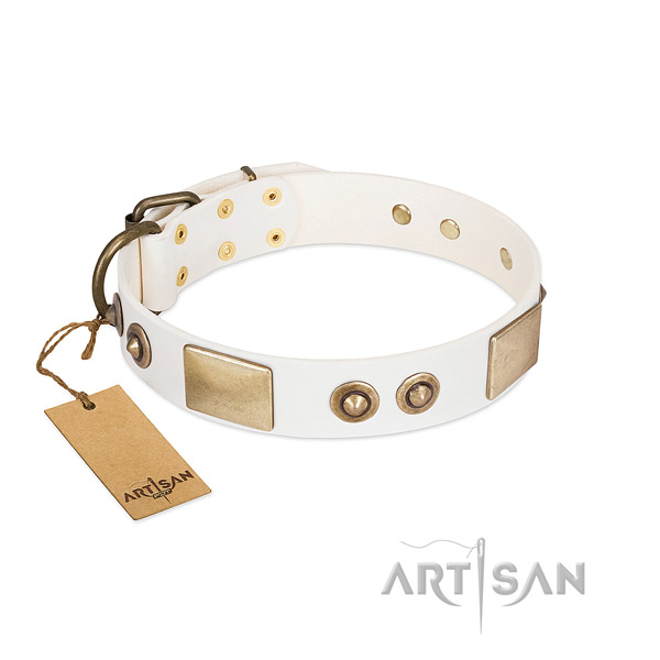 Corrosion resistant adornments on leather dog collar for your doggie