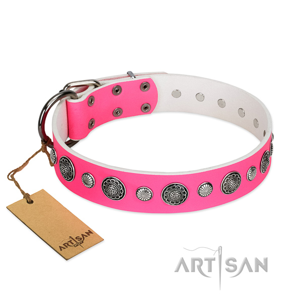 Reliable genuine leather dog collar with rust resistant traditional buckle