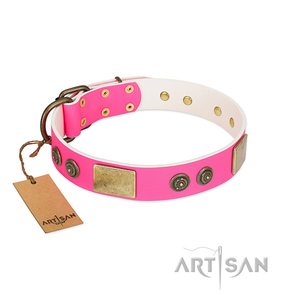 Stylish leather dog collar for everyday use