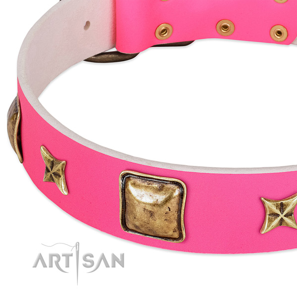 Full grain leather dog collar with fashionable adornments
