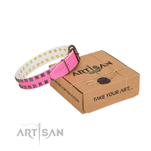 Genuine leather collar with stylish studs for your doggie