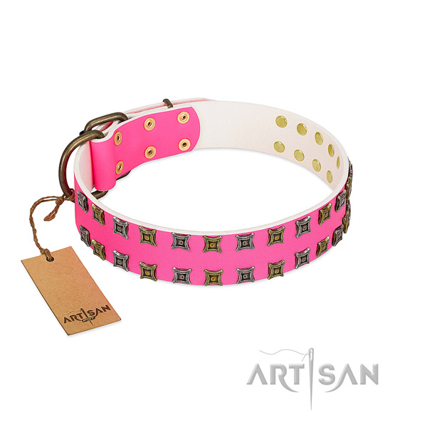 Leather collar with unusual decorations for your four-legged friend