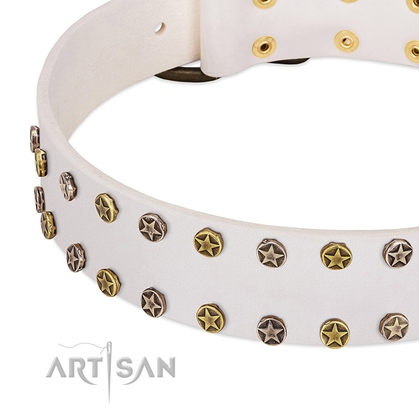 Remarkable adornments on genuine leather collar for your doggie