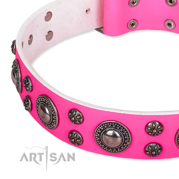 Everyday walking decorated dog collar of fine quality natural leather