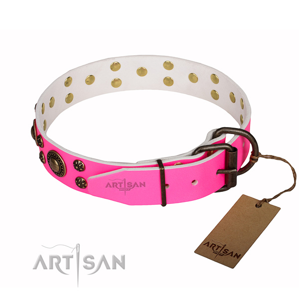 Stylish walking decorated dog collar of reliable full grain natural leather
