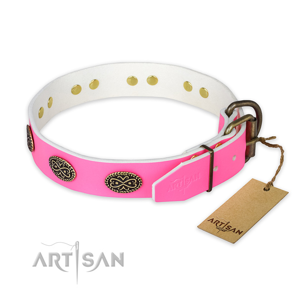 Rust resistant fittings on everyday use dog collar
