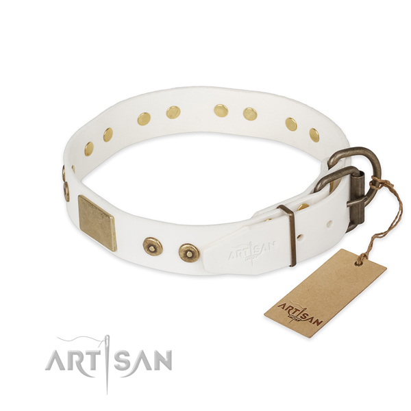 Corrosion proof fittings on leather collar for fancy walking your four-legged friend