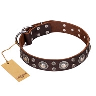 "Age of Beauty" FDT Artisan Incredible Studded Brown Leather Black Russian Terrier Collar