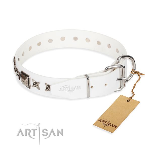 Strong studded dog collar of full grain leather