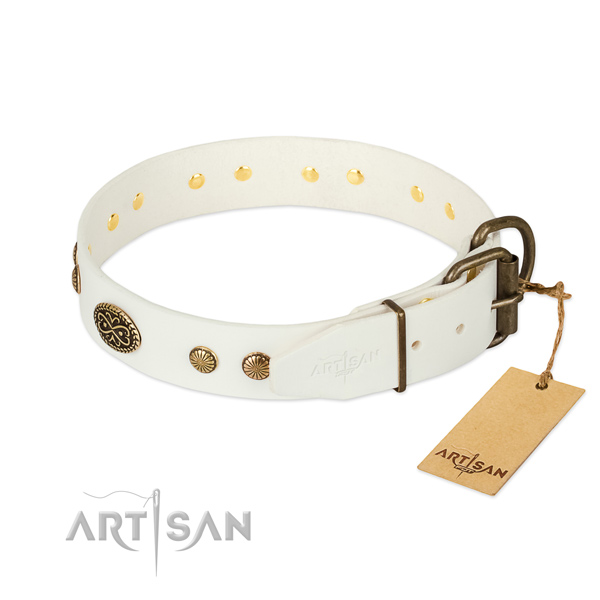 Corrosion resistant embellishments on full grain genuine leather dog collar for your four-legged friend