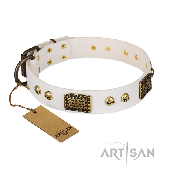 Reliable embellishments on easy wearing dog collar