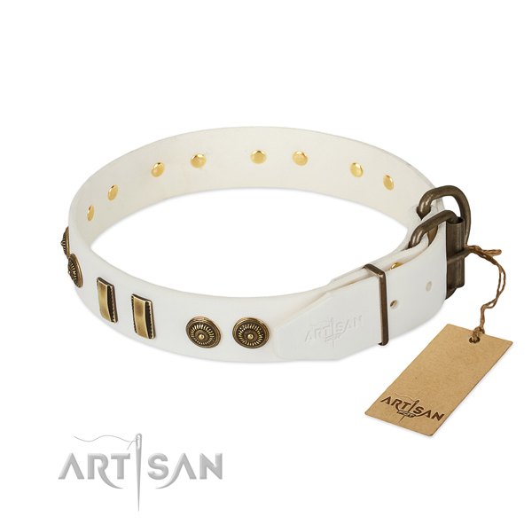 Corrosion proof fittings on leather dog collar for your doggie