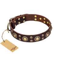 "Flower Melody" FDT Artisan Brown Leather Black Russian Terrier Collar with Mixed Studs