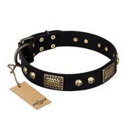 "Biker Style" FDT Artisan Black Leather Black Russian Terrier Collar with Old Bronze Look Plates and Skulls