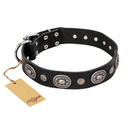 "Black Tie" FDT Artisan Leather Black Russian Terrier Collar with Old Silver-like Decorations