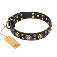 "Baroque Chic" FDT Artisan Studded Black Leather Black Russian Terrier Collar