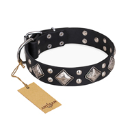 "Smart Geometry" FDT Artisan Studded Leather Black Russian Terrier Collar