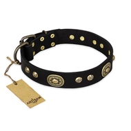 "High Fashion" FDT Artisan Studded with Plates Black Leather Black Russian Terrier Collar