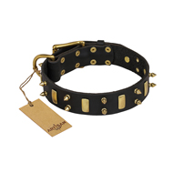 "Medieval Style" FDT Artisan Leather Black Russian Terrier Collar with Brass Plated Plates and Spikes
