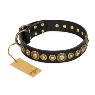 "Gold Mine" FDT Artisan Black Leather Black Russian Terrier Collar with Amazing Bronze-Plated Round Studs