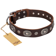 "Extra Pizzazz" FDT Artisan Adorned Brown Leather Black Russian Terrier Collar