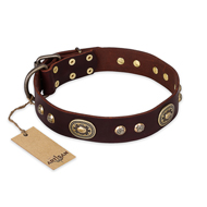 "Breath of Elegance" FDT Artisan Decorated with Plates Brown Leather Black Russian Terrier Collar