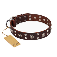 "Pirate Treasure" FDT Artisan Exciting Brown Leather Black Russian Terrier Collar with Studs