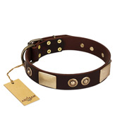 "Sense of Freedom" FDT Artisan Brown Leather Black Russian Terrier Collar with Old Bronze-Plated Studs and Plates