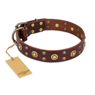 "Caprice of Fashion" FDT Artisan Brown Leather Black Russian Terrier Collar with Round Decorations