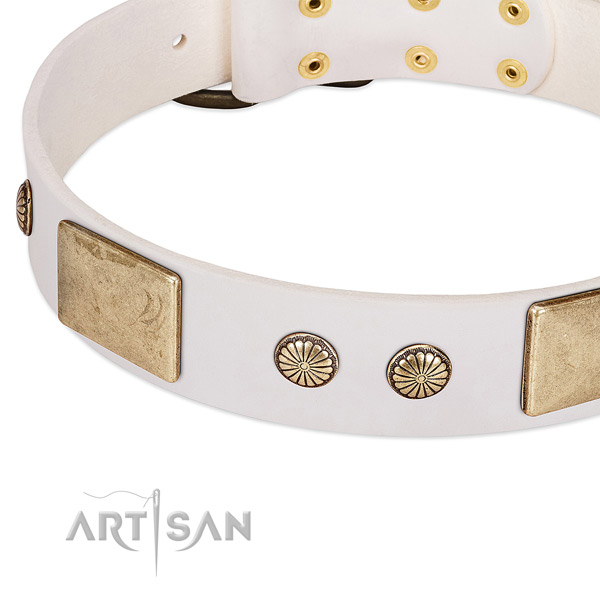 Strong hardware on natural leather dog collar for your canine