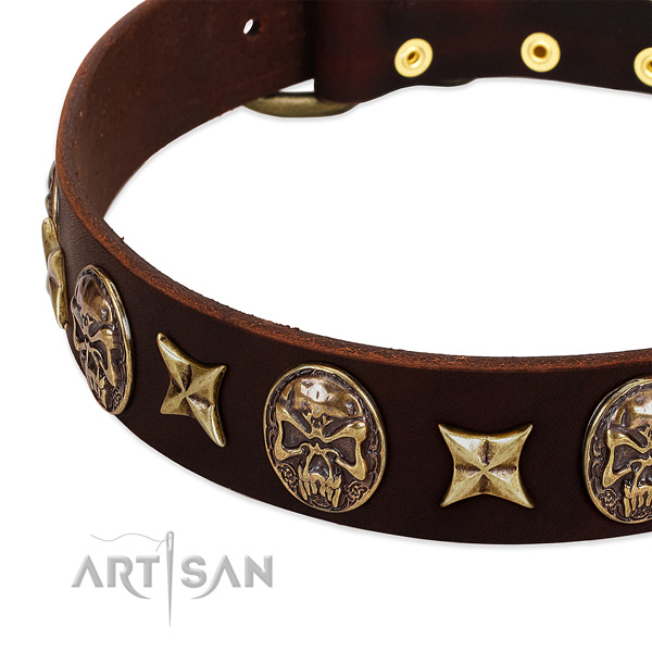 Corrosion resistant traditional buckle on genuine leather dog collar for your four-legged friend