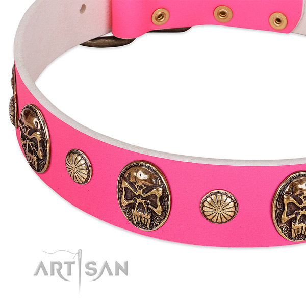 Durable hardware on full grain genuine leather dog collar for your pet
