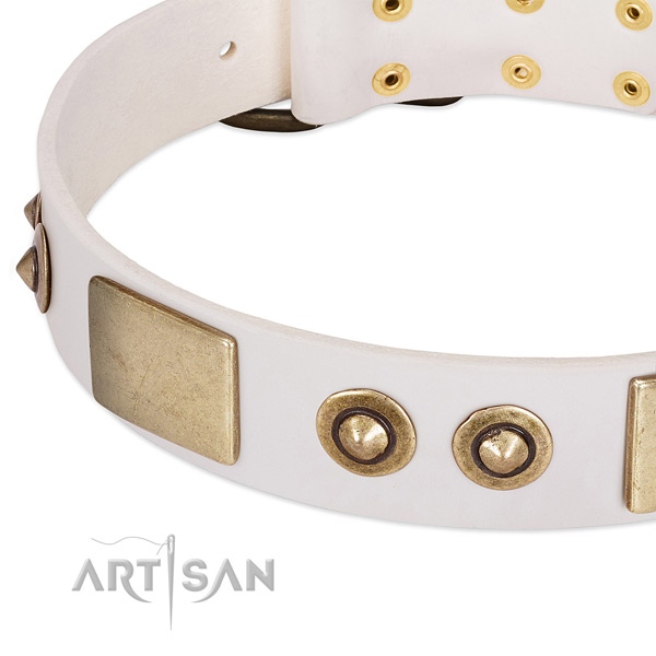 Corrosion resistant D-ring on full grain genuine leather dog collar for your pet