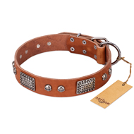 "Sparkling Skull" FDT Artisan Tan Leather Black Russian Terrier Collar with Old Silver Look Plates and Skulls
