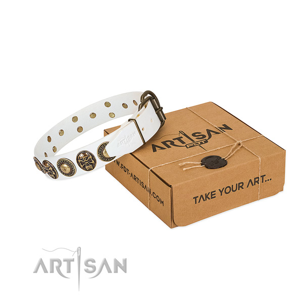 Strong D-ring on dog collar for comfy wearing