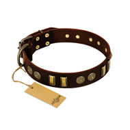 "Golden Elegance" FDT Artisan Brown Leather Black Russian Terrier Collar with Old Bronze-like Decorations