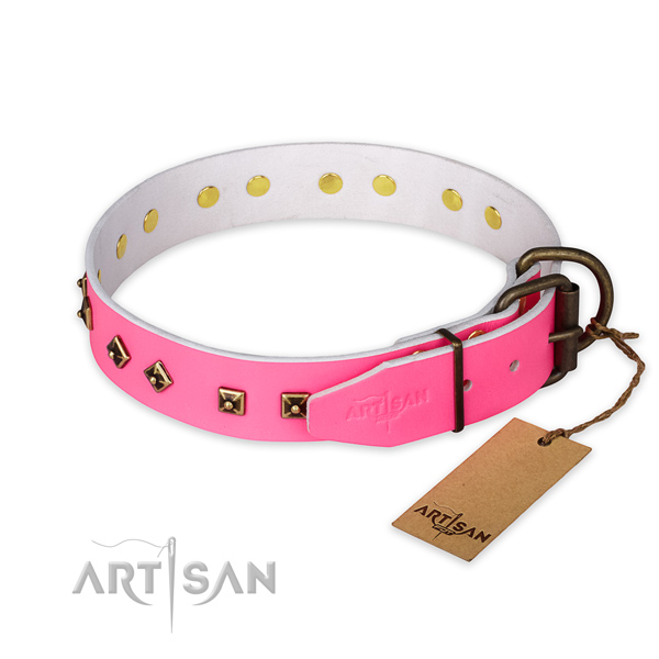 Rust-proof fittings on full grain natural leather collar for stylish walking your four-legged friend