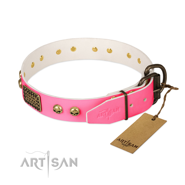 Rust-proof D-ring on daily walking dog collar