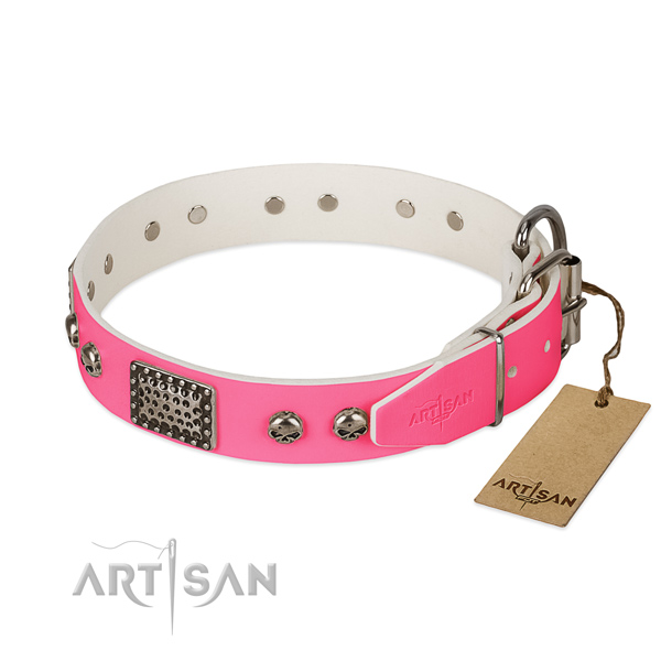 Rust resistant traditional buckle on easy wearing dog collar